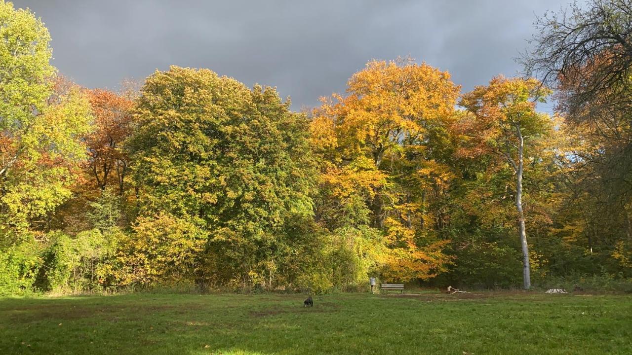 Hannover List 2 Bedroom Home Away From Home エクステリア 写真