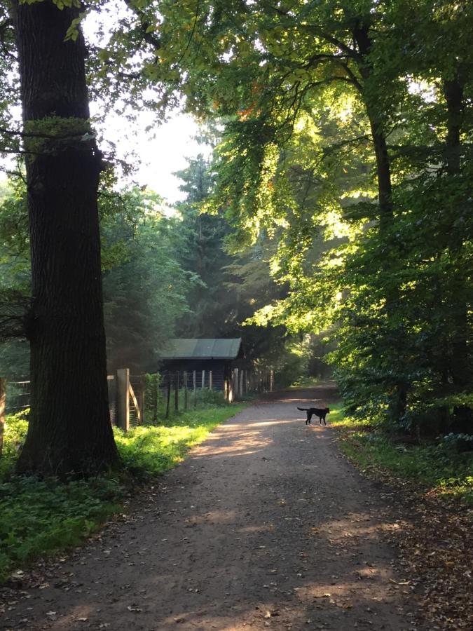 Hannover List 2 Bedroom Home Away From Home エクステリア 写真